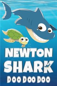 Newton