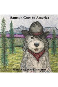 Samson Goes to America