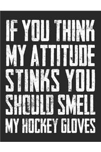 If You Think My Attitude Stinks You Should Smell My Hockey Gloves