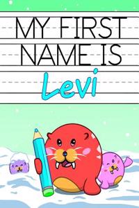 My First Name Is Levi