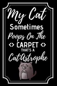 My Cat Sometimes Poop on the Carpet