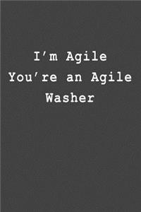I'm Agile You're an Agile Washer