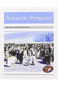 Antarctic Penguins PM Non Fiction Level 23&24 Silver: Animal Facts Polar Animals