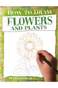 Flowers and Plants