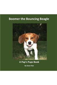 Boomer the Bouncing Beagle
