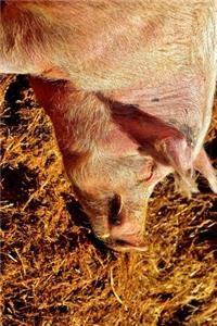 One Smug Looking Pig Journal