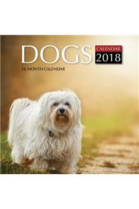 Dogs Calendar 2018