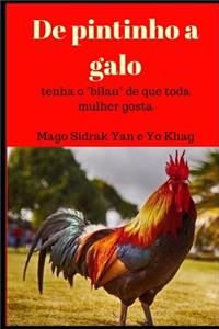De pintinho a galo