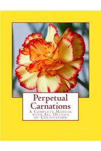 Perpetual Carnations