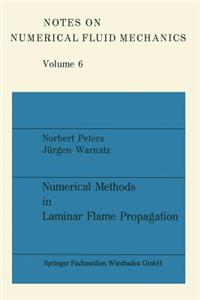 Numerical Methods in Laminar Flame Propagation