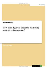 How Does Big Data Affect the Marketing Strategies of Companies?