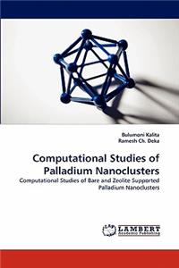 Computational Studies of Palladium Nanoclusters