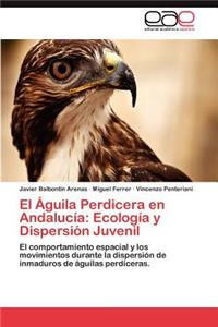 Águila Perdicera en Andalucía