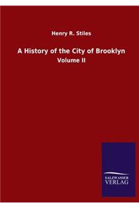 A History of the City of Brooklyn