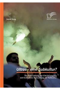 Ultras - eine Subkultur? Die Entwicklung der Ultrabewegung mit besonderer Betrachtung als Subkultur