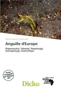 Anguille D'Europe