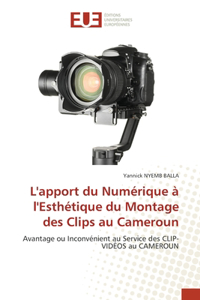 L'apport du Numérique à l'Esthétique du Montage des Clips au Cameroun