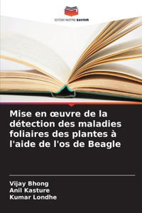 Mise en oeuvre de la détection des maladies foliaires des plantes à l'aide de l'os de Beagle