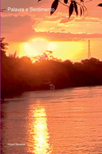 Palavra E Sentimento