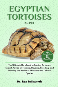 Egyptian Tortoises as Pet