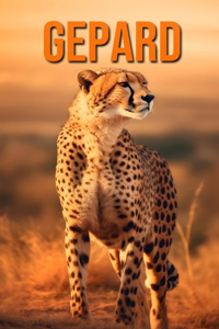 Gepard