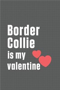 Border Collie is my valentine
