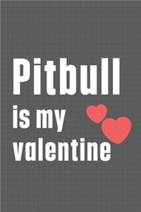 Pitbull is my valentine