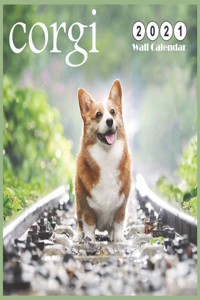 corgi