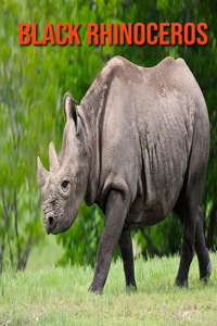 Black Rhinoceros: Amazing Facts about Black Rhinoceros