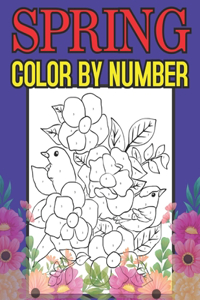 Spring Color By Number