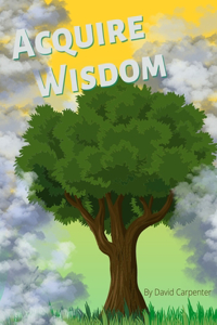 Acquire Wisdom