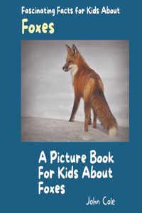 Picture Book for Kids About Foxes