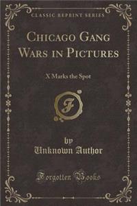 Chicago Gang Wars in Pictures