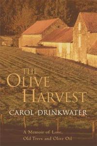 The Olive Harvest