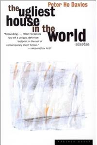 The Ugliest House in the World