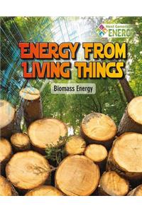 Energy from Living Things: Biomass Energy