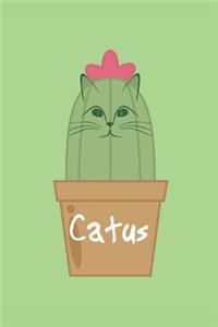 Catus