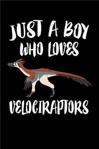 Just A Boy Who Loves Velociraptors