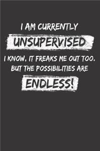 Sarcastic Sayings Unsupervised Notebook Journal