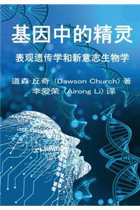 基因中的精灵the Simplified Chinese Edition of The Genie in Your Genes