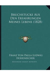 Bruchstucke Aus Den Erfahrungen Meines Lebens (1828)