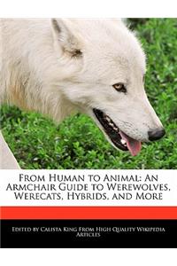 From Human to Animal