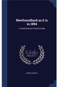 Newfoundland as It Is in 1894