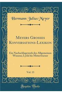 Meyers Großes Konversations-Lexikon, Vol. 13