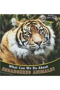What Can We Do about Endangered Animals?