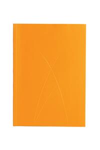 Gold (Puro) A5 Lined Notebook