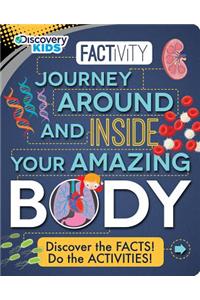 Discovery Factivity: Human Body