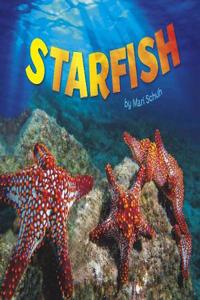 Starfish