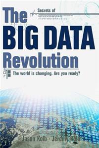 Big Data Revolution