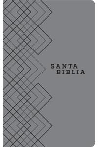 Santa Biblia NTV, Edicion agape (SentiPiel, Gris),